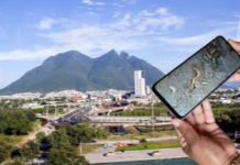 Days Before the World Cup, Nuevo León Confirms Its First Case of Screwworm in Humans