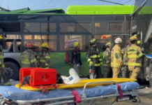 Nuevo León, leader in traffic accidents for 16 years; Jalisco reverses the trend.