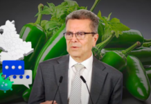 Cofepris identifies jalapeños from Nuevo León as the possible source of a salmonella outbreak.